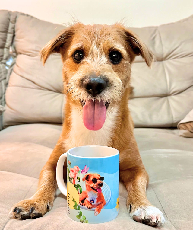 Caneca Botanic Personalizada com seu pet - Imagem 2