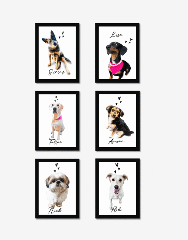 kit 6 quadros pet - 25x25 - a4 quadro pet personalizado cachorro gato loja presente - riodejaneiro-saopaulo-comprar- personapet