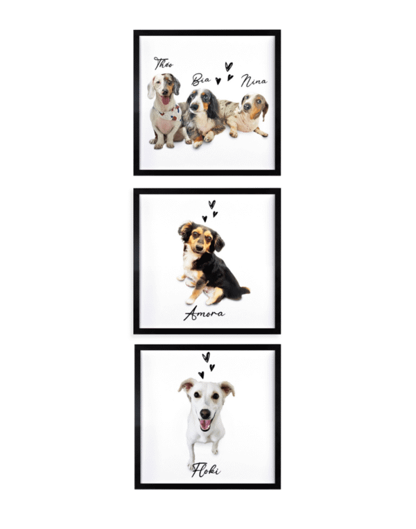 kit Trio 25x25 - Capa quadro pet personalizado cachorro gato loja presente - riodejaneiro-saopaulo-comprar- personapet