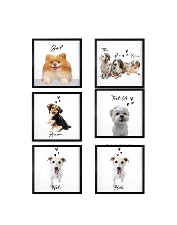 kit6 quadros 25x25 - capa - quadro pet personalizado cachorro gato loja presente - riodejaneiro-saopaulo-comprar- personapet
