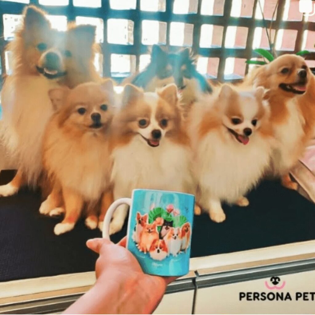 PERSONAPET_INSTAGRAP_PET_QUADRO_CANECA-PERSONALIZADOS_PRESENTE_SAOPAULO_RIO_DE_JANEIRO_PETZ_PETLOVE_FLORIANOPOLIS (5)