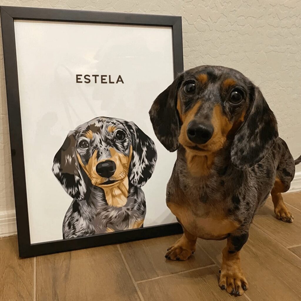 personapet_presente_personalizado_pet_quadros_quadro_moldura_saopaulo_riodejaneiro_gatos_cachorro_gato_canecas_quadros-154598495.png