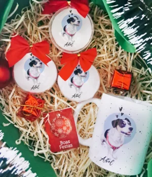 bolinha-natal-pet-personalizada-foto-do-pet-personapet-enfeite-natalino-esfera-acrilica-transparente-kit-natal-presente-personaliza (