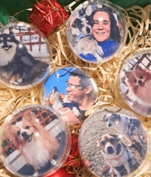 personapet-bolasdecrilico-bolasdenatal-presentedenatal-arvoredenatal-enfeites-bolinhas-fotos-personalizado-pet